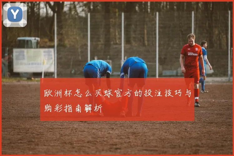 欧洲杯怎么买球官方的投注技巧与购彩指南解析