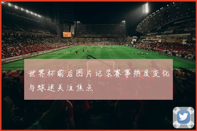 世界杯前后图片记录赛事热度变化与球迷关注焦点
