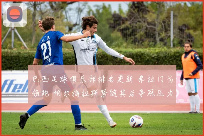 巴西足球俱乐部排名更新 弗拉门戈领跑 帕尔梅拉斯紧随其后争冠压力加大