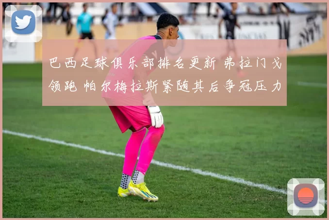 巴西足球俱乐部排名更新 弗拉门戈领跑 帕尔梅拉斯紧随其后争冠压力加大