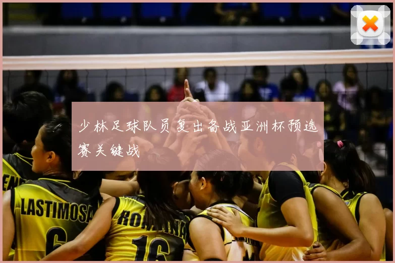 少林足球队员复出备战亚洲杯预选赛关键战