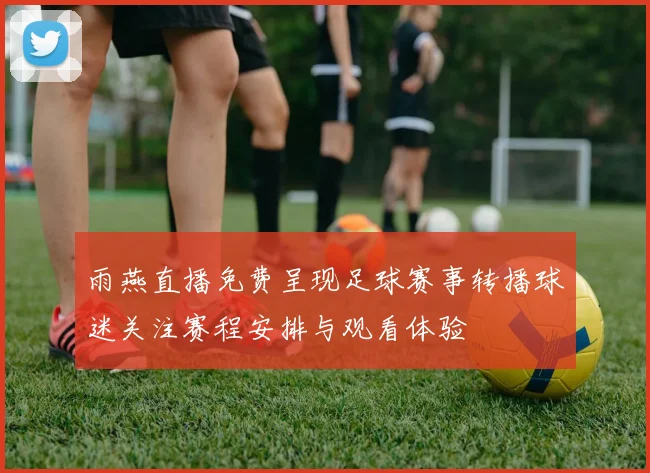 雨燕直播免费呈现足球赛事转播球迷关注赛程安排与观看体验